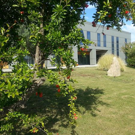Geovillage Apartments Ольбия Экстерьер фото
